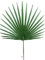 Artificielles.com - Feuille palmier Chamaerops artificielle H 53 cm D 36 cm ext