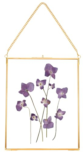 REDHUGO Cadres pour fleurs pressées, cadres flottants en verre pour afficher des spécimens de plantes séchées, photos, cadre photo en laiton avec chaîne suspendue, double verre clair, rectangle