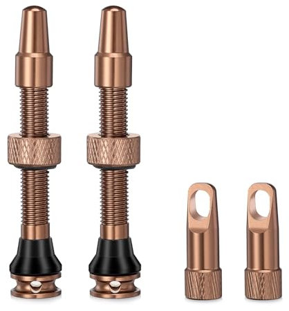 HZJD 2 Stück Presta Tubeless Ventile, Wüste, Tubeless Vorbau, Integriertes Kernentfernungswerkzeug(44 mm)
