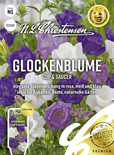 Glockenblume Cup & Saucer Samen, Saatgut