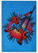 Nada Home Teppich rutschfest Kinderzimmer Marvel Spiderman 80 x 120 cm 4952
