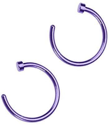 Holibanna 2 Pièces septum de nez en acier nez percé de nez indiens piercing au nez Acier inoxydable bijoux faux nez diaphragme homme Violet