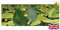 Nupar Lutea - Brandy Bottle - Native Yellow Water Lily - Marginal Pond Plants - Bareroot - Fish or Wildlife Pond and bog Aquatic Plants