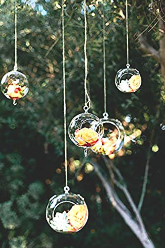Ecosides 12 pcs 8cm Bougeoir en Verre Suspendu,Boule Verre Suspendre,Photophore Suspendu,Terrarium Boule Verre,Plante d'air Décor pour Cadeaux de Bricolage Jardin de Fête de Mariage,avec 2 Trous