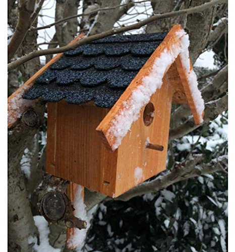 DARLUX Holz Nistkasten für draußen, Nisthaus Brutstätte für kleine Singvögel Braun und verschiedenen Bitum Farben (Blau - Braun)