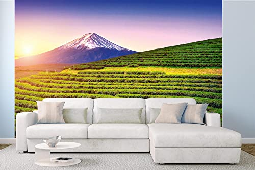 DIMEX LINE Non-Woven Photo Wallpaper Fuji, Japan 375 x 250 cm - Non-Woven Wallpaper, Wall Mural, Wall Pictures - Wallpaper for Living Room, Bedroom, Office, Kitchen