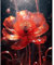Peinture par numéro pour adultes, motif fleur de coquelicot d'Islande rouge en fleurs - Kit de peinture à l'huile sur toile avec pinceaux - Peinture numérique à pigments acryliques pour décoration