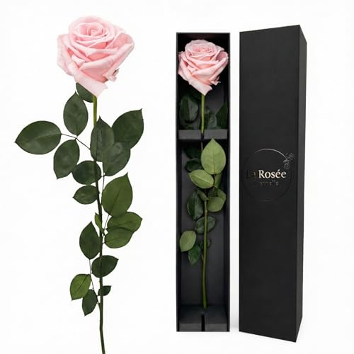 LA ROSEE ETERNELLE Echte Ewige Rose mit langem Stiel – Parfümierte konservierte Rose aus Ecuador – Originelles Geschenk für Frauen, Partnerin & Muttertag – Design aus Spanien – Baby Pink