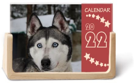 Terminkalender für 2022, Motiv: Hund und Schnee, Husky, 12 Monate