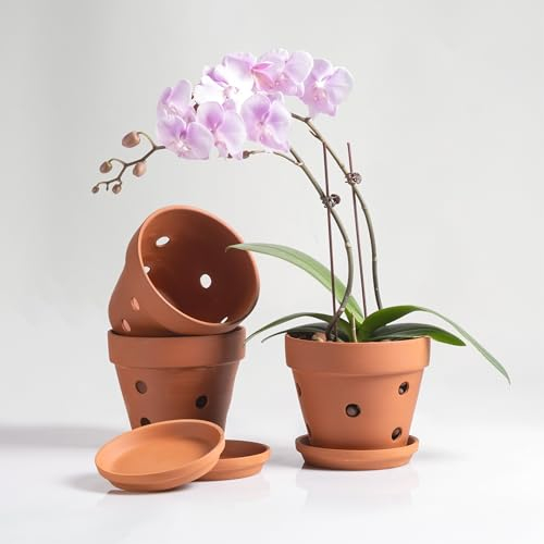 HERDUK Vasi per orchidee in argilla con fori, vasi per orchidee in terracotta con fori di drenaggio e piattino per rinvasare 15,2 cm, fioriere per orchidee per piante da interno