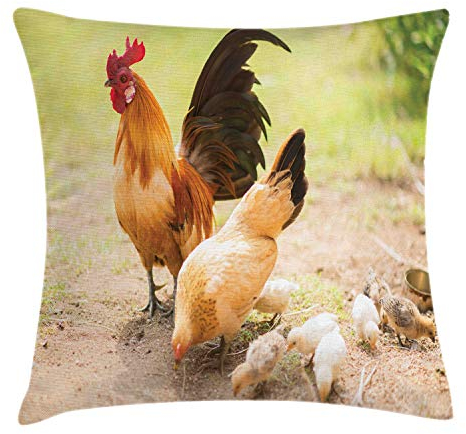 ABAKUHAUS Henne und Küken Kissenbezug, Huhn-Familien-Foto, Dekorative Kopfkissenhülle mit Beidseitigem Druck Reißverschluß Waschbar, 40 x 40 cm, Grün Creme