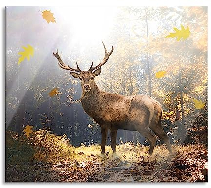 Hirsch im Wald mit fallenden Blättern Herdabdeckplatte & Spritzschutz aus Echtglas | Für Herd-Kochfelder | 60x52 cm