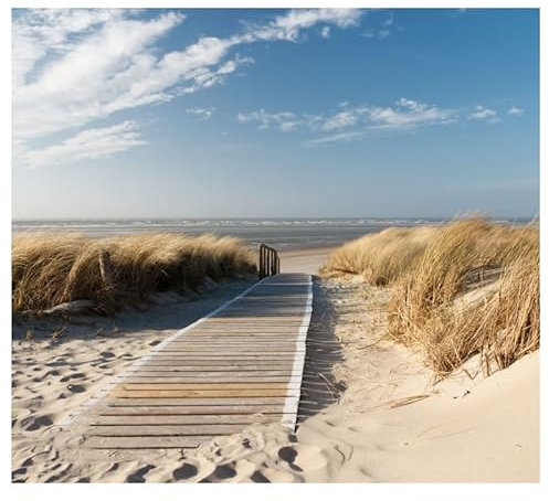 Scenolia Papier Peint intissé Chemin des Dunes Plage de Sable 300 x 270 cm (LxH) - Tapisserie panoramique Made in France