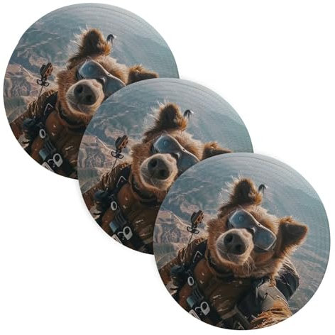 Lot de 3 dessous de plat ronds pour plats chauds de 38,1 cm en fil de coton tissé pour casseroles instantanées, protège l'ours marron