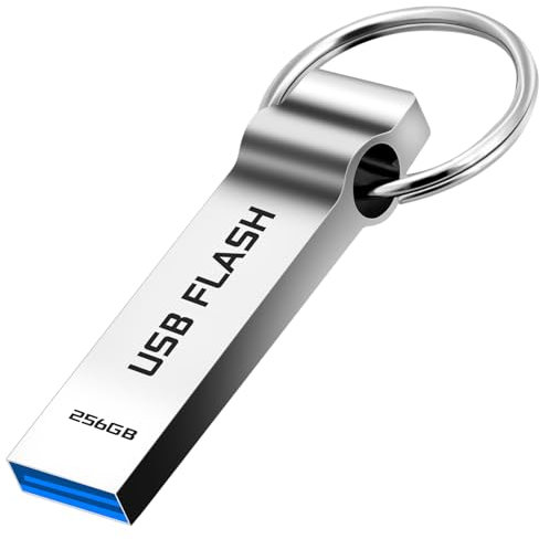 Memory Stick 256GB - alptte USB 3.0 Stick High Speed Waterproof USB Flash Drive Metallic USB Drive for PC/Laptops/Tablets Data Storage, with Keychain(Sliver)
