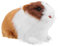 TOYANDONA Figurine de Hamster Simulé Réaliste Modèle Éducatif pour Garçon et Filles Jouet Animal Décoratif 10 CM Fausse Peluche Hamster