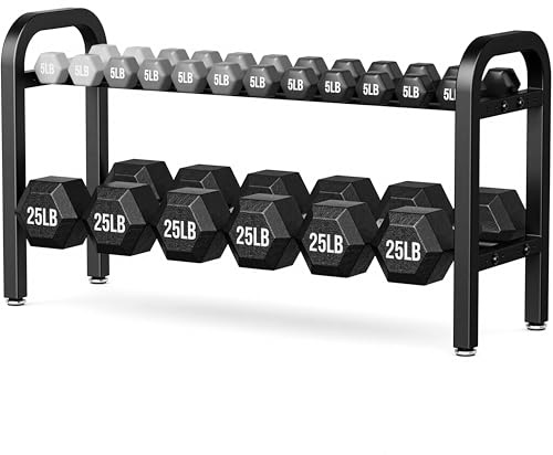 Support d'haltères à 2 niveaux, support de poids pour salle de sport à domicile, capacité de 136 kg