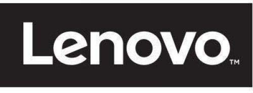Lenovo Storage 800GB **New Retail**, 01DC477