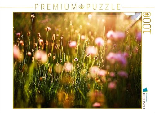 CALVENDO Puzzle Abendsonne auf der Wiese | 1000 Teile Lege-Größe 64 x 48 cm Foto-Puzzle für glückliche Stunden