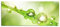 Pixxprint Glasbild Panorama, Wandbild aus Echtglas, Wassertropfen auf Grashalm, 100x40 cm, inkl. Aufhängung und Abstandshalter