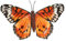 Primus Großer Metall-Wandschmuck mit orangefarbenem Schmetterling