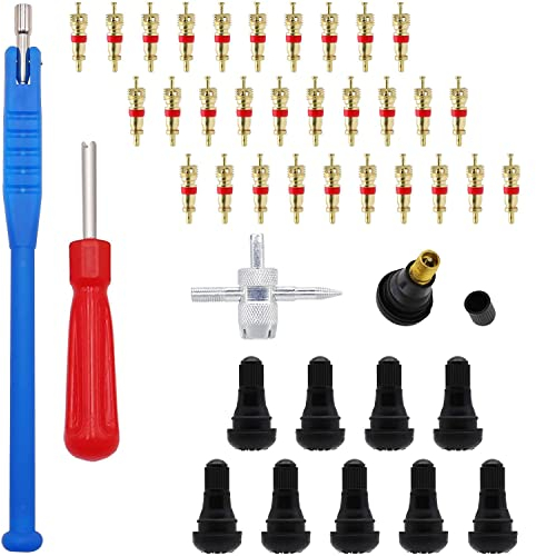 RUNCCI-YUN 43Pcs Demonte Valve Pneu Outil,Valve Core Remover pour Voiture, 30pcs Valve Core,TR412 Valves de Pneu,Outillage de réparation des pneus Kit, pour Les Voitures, Camions, Vélos, Motos