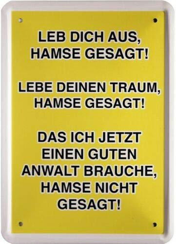 WOGEKA ART Retro Blechschild - Leb dich aus, hamse gesagt - Guten Anwalt - witziger Spruch als Geschenk-Idee Geburtstag Weihnachten Dekoration 21x15 cm Vintage-Design Metall MJ 224