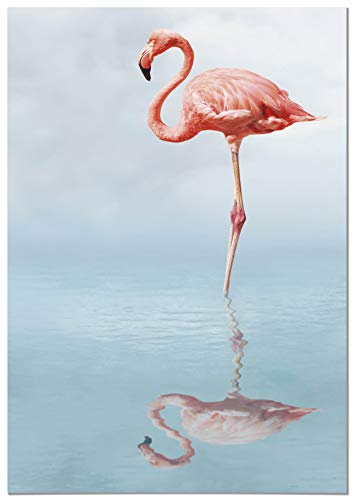 Panorama Poster Flamenco 50x35 cm - Gedruckt auf 250g-Papier - Tiere Wanbilder - Papierplakat Wohnzimmer
