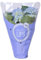 Hortensia Azul Planta Natural - Hortensia con Flores Azules - Planta Interior, Terraza y Jardín