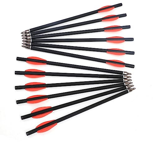 ACCMOS 12/36 Stück Bogenschießen Armbrust Bolzen ID 6mm OD 8mm, Schaftlänge 10 Zoll, 100 Korn Spitzen, für Armbrust Jagd (12 Stück)