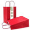 DeinPack Papiertüten aus Kraftpapier, Papiertüten mit Henkel, Geschenkverpackung, Geschenktüten, Gastgeschenke Tüten, Mitgebseltüten, Geschenktüten Set - 50 x rote Papier Tüten 18 x 8 x 24 cm