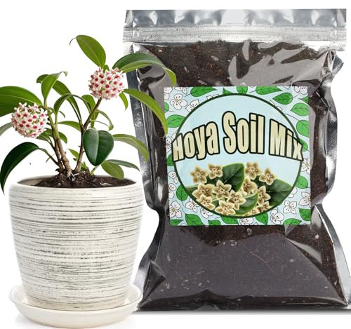 GOTVUGE Mélange de terreau pour Hoya, mélange personnalisé mélangé à la main pour plante de fougère en pot intérieur/extérieur (1 l)
