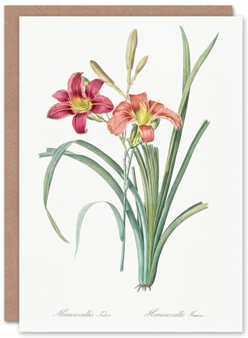 Artery8 Pierre-Joseph Redouté Art Card Orange Day Lily Vintage Floral Illustration