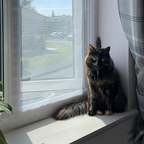 Flat Cats window screens - Twin Pack - Selection of sizes (60cm x 100cm, White Mesh/White Fixings)