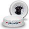 Labrador SCHWARZ - ABS Hundenapf Ø 21cm. Rutschfester Futternapf Trinknapf, Fressnapf, Wasserschale, Haustierschüssel. Praktisch, Robust, Langlebig.