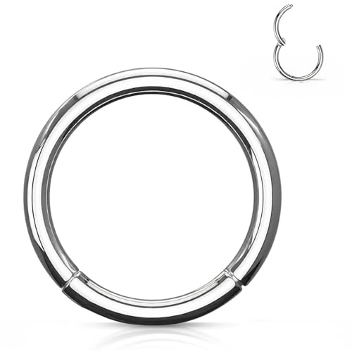 Stachelkleid Nasenpiercing Ring Clicker aus Titan – Septum Piercing Helix Conch Tragus Nostril – Nasenring Segmentring Scharnier – Viele Größen – Gold, Silber und weitere Farben