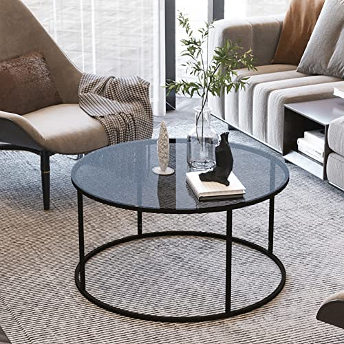 Mesa de Centro Mesa Auxiliar Redonda Soporte Estable Montaje Rápido Metal/Vidrio Templado Ahumado Ø80 x45 cm Negro/Transparente