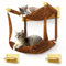 myHANA Kletterwand Katzen Set Kiefernholz | Hängematte Katze Wand 3 Farbvarianten| 2X Katzentreppe Wand | Katzen Wandelemente Set| Katzenmöbel | Katzewandliege| Katzenbett | Wandkratzbaum | Katzen