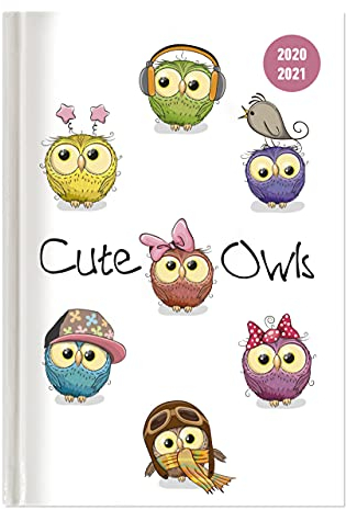 Collegetimer Cute Owls 2020/2021 - Schüler-Kalender A5 (15x21 cm) - Eule - Weekly - 224 Seiten - Terminplaner - Alpha Edition: Schüler-Kalender A5 - Eule (Collegetimer A5 Weekly)