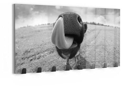 DEQORI Wandgarderobe Glas & Metall | Motiv Kuriose Kuh | 60x30 cm | Design Haken-Leiste modern | Garderoben-Paneel für Flur, Wohnzimmer & Schlafzimmer | magnetisch & beschreibbar