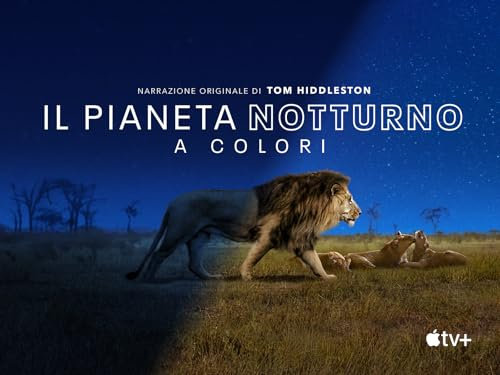 Il pianeta notturno a colori