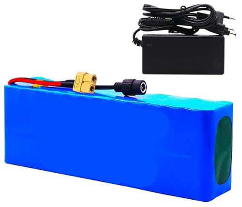 Batteria E-Bike 12V 36V 48V 10AH 12AH 15AH 18AH 20AH 25AH 30AH Elettrico Per Batteria Agli Ioni Di Litio Batterie Ricaricabili Per 1000W Motor [Classe Di Efficienza Energetica A] 48V20AH,XT60