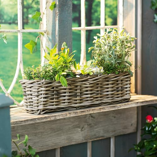 Rattan Pflanzkasten Koboo Grey 60 cm lang, grau, Balkon-Blumenkasten | für Drinnen & Draußen, Balkonkasten, Pflanzgefäß für die Fensterbank, Flechtkorb, Pflanzkübel rechteckig