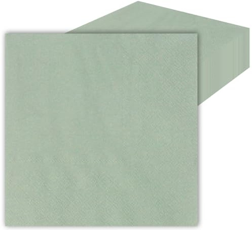 LOCCY 40 Stück Servietten, 33x33cm Papier Party Servietten Eukalyptus Gingham Serviette Einweg-Papierservietten Kommunion Tischdeko für Hochzeit, Kommunion, Geburtstag, Party (Set 6-Salbeigrün)