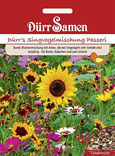 Dürr's Singvogel-Mischung Passeri, einjährig, 40cm