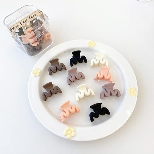 XINGNIAO 10 STÜCKE Kleines Haarspangen-Set für Frauen und Mädchen – Mini-Klauenklammern zum Stylen und Sichern der Haare (set7#)