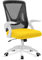 Blisswood Adjustable Office Chair, Desk Chair, Mesh Swivel Computer Chair With 90° Flip-up Armrest With Lumbar Support Adjustable Height (Yellow & Black)