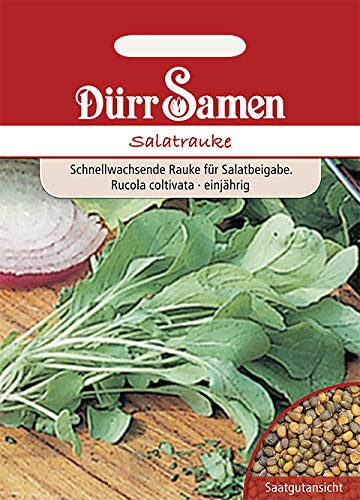 Dürr-Samen - 1.000 x Ruca Salatrauke Saatgut für Garten, Hochbeet & Gewächshaus - Rucola Salatsamen Saat für Gemüsegarten zum Pflanzen - Rucolasamen nachhaltig - Salat Samen zum Anbauen