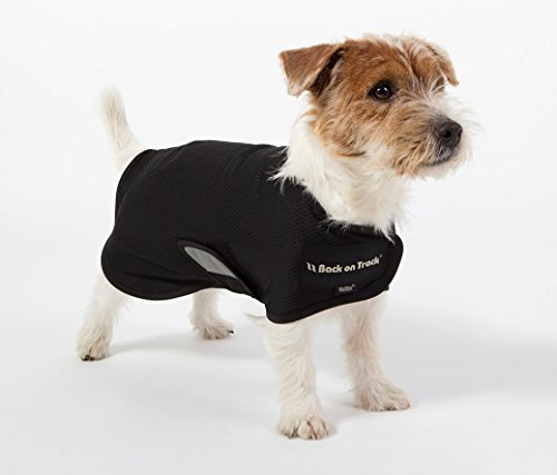 Dog Copenhagen Back-on-Track Hugo Hundemantel, Netz, Schwarz, Größe M