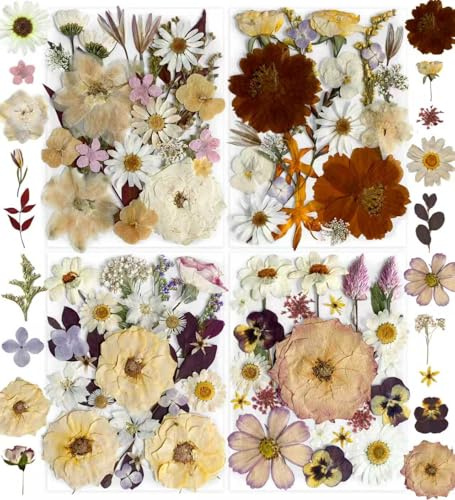TrendCart Boho 88 Stück echte natürliche getrocknete Blumen, 4er-Pack für DIY, Resin-Schmuck, Scrapbooking, Bilderrahmen-Dekoration, inklusive 66 Schmetterlings-Stickern und Pinzette